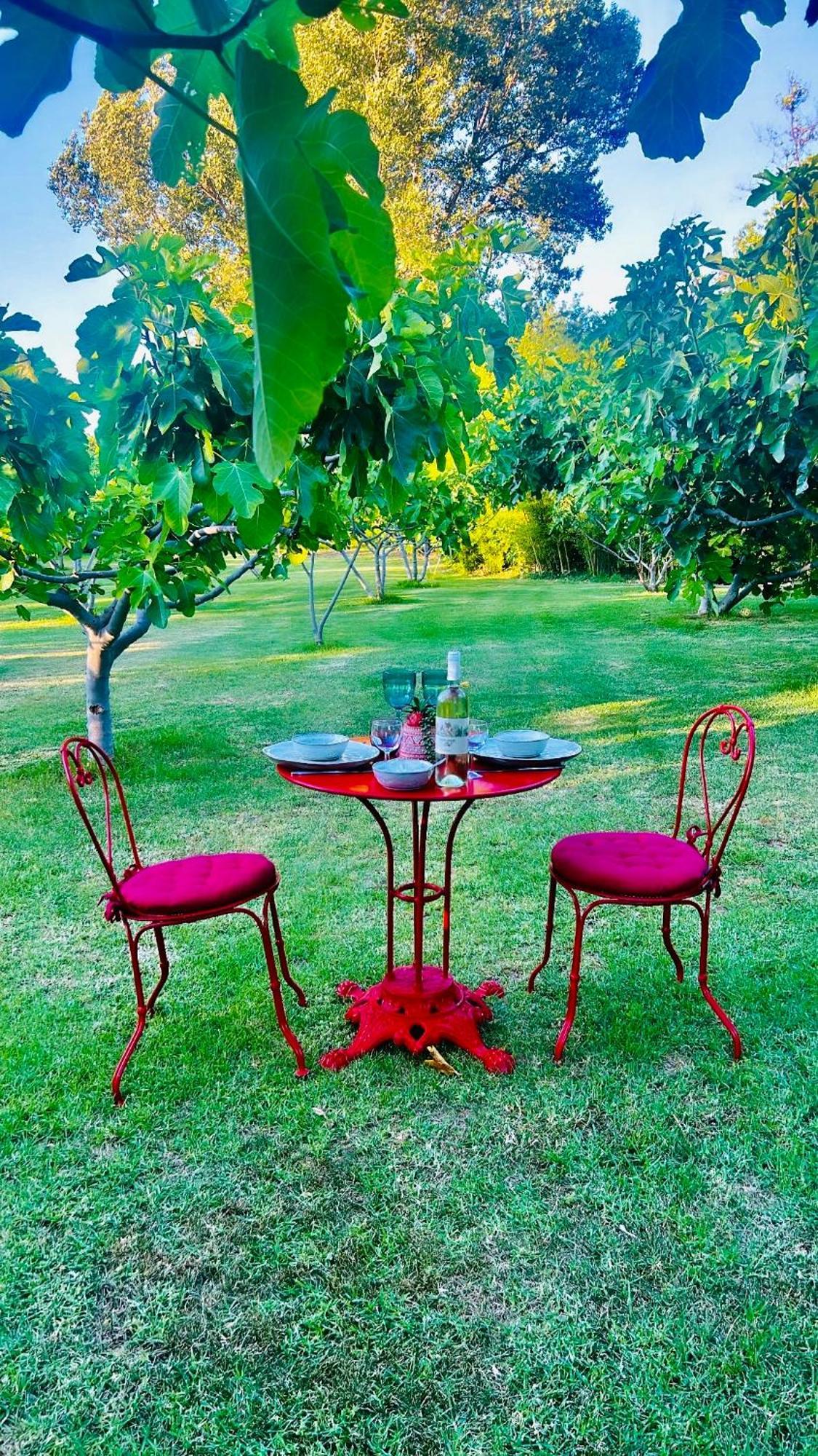 Le Cocoon Lodge Du Gapeau & Massage Sollies Pont Ngoại thất bức ảnh