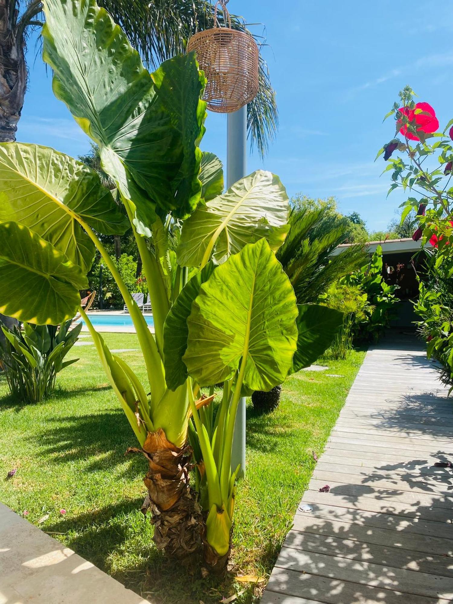 Le Cocoon Lodge Du Gapeau & Massage Sollies Pont Ngoại thất bức ảnh